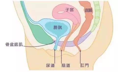 间质性膀胱炎最新疗法研究与应用