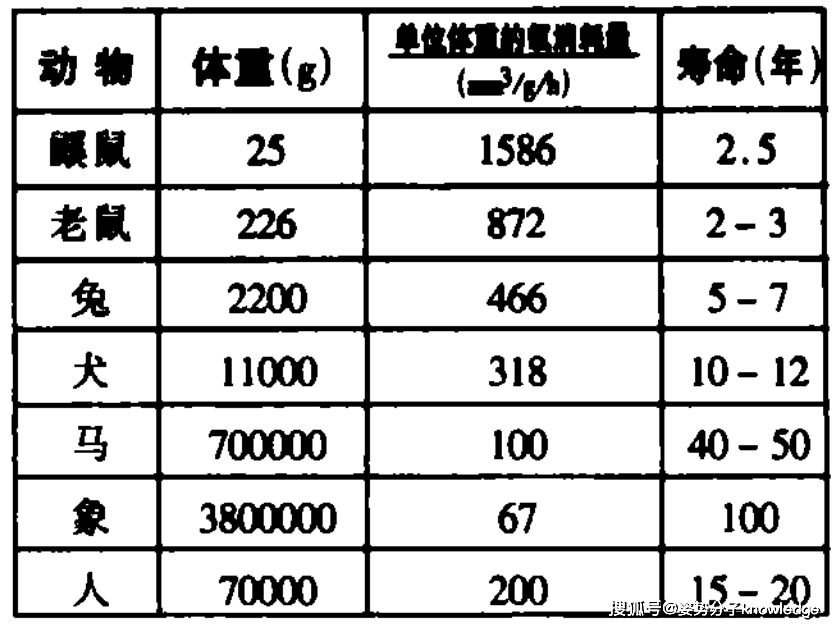 探究7545不锈钢管重量的多重因素与计算方法