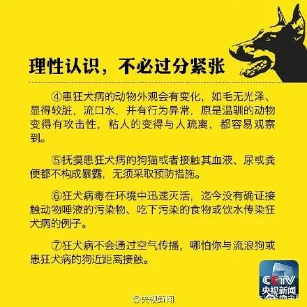 招聘启事58同城寻找精英加入网管团队