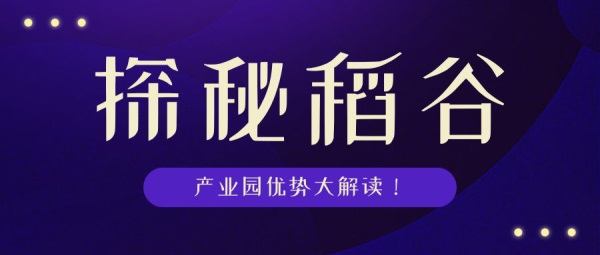 拉萨市招聘热潮，探索职业机遇，共筑美好未来——在58同城网的深度解析